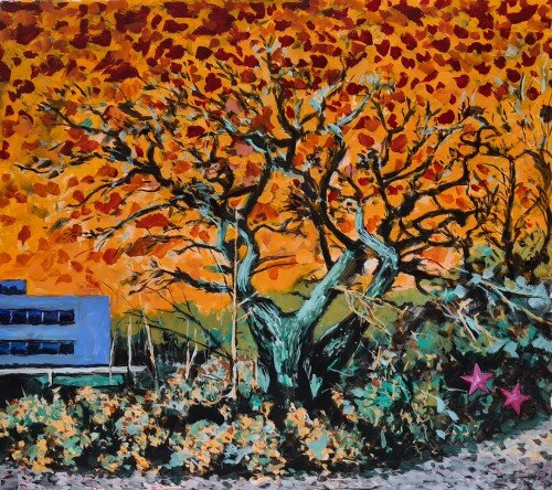 Shenley Oak X