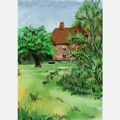 Westbury Back Garden from memory