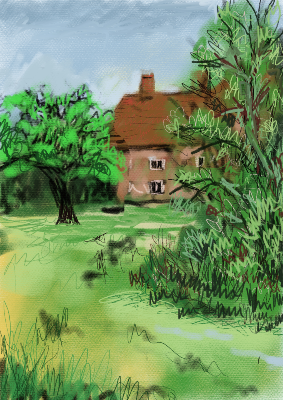 Westbury Back Garden from memory