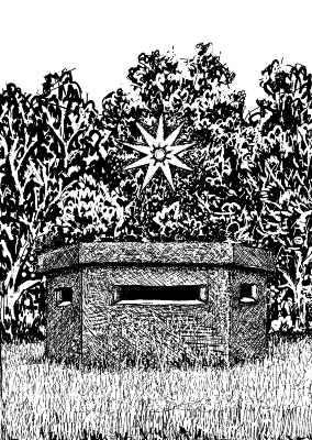 Box with Stars