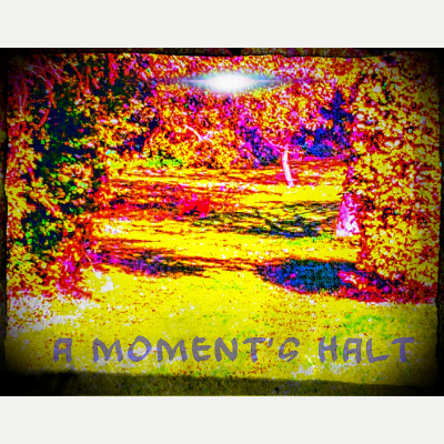 A Moment's Halt