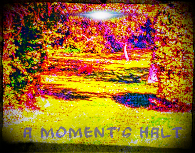 A Moment's Halt