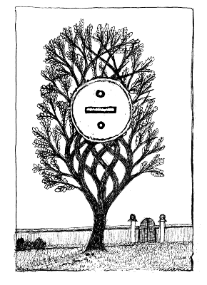 Tree with socket