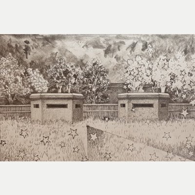 Two Boxes in a field study