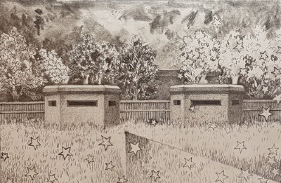 Two Boxes in a field II