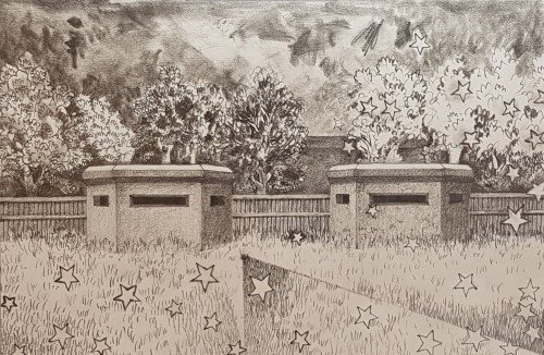 Two Boxes in a field study